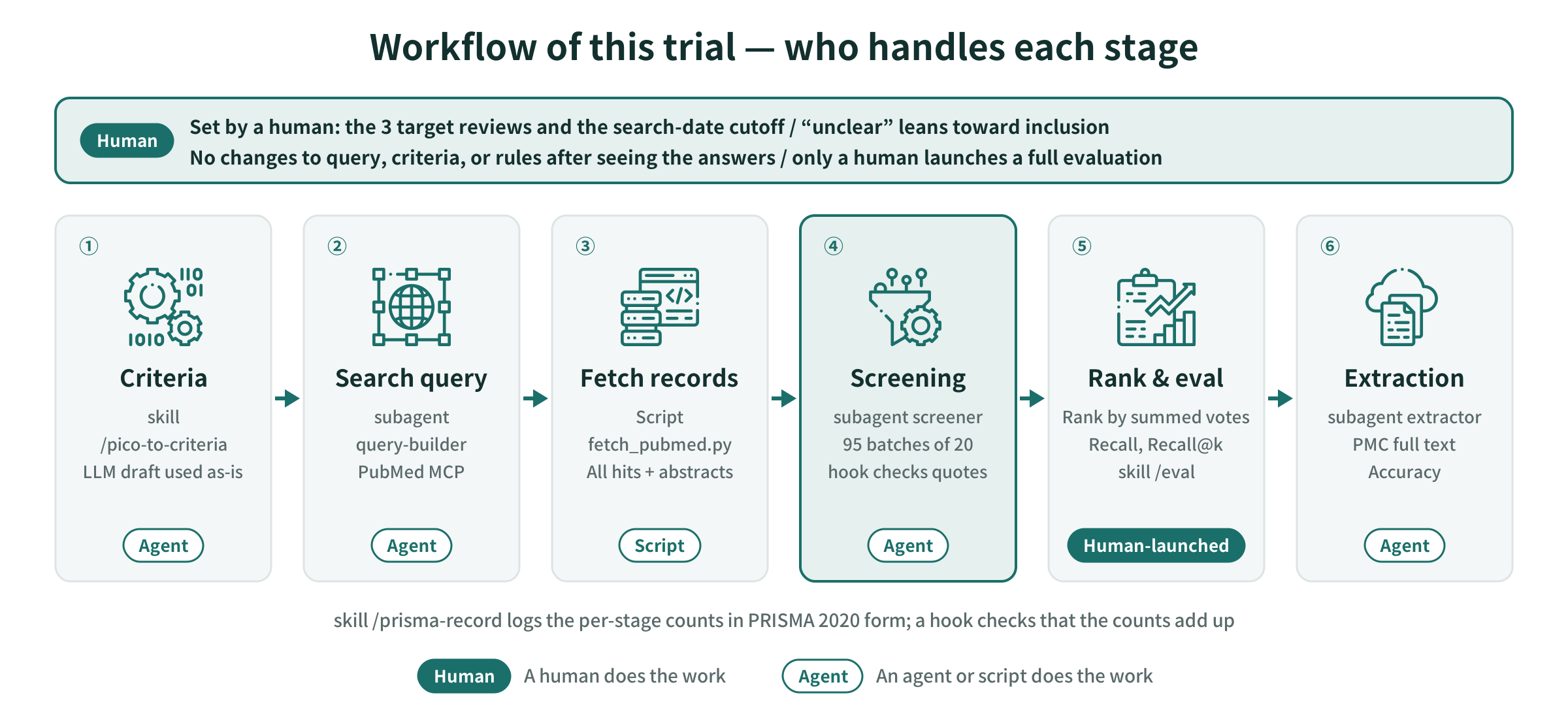 This trial’s flow: who handles each stage, and what humans decided
